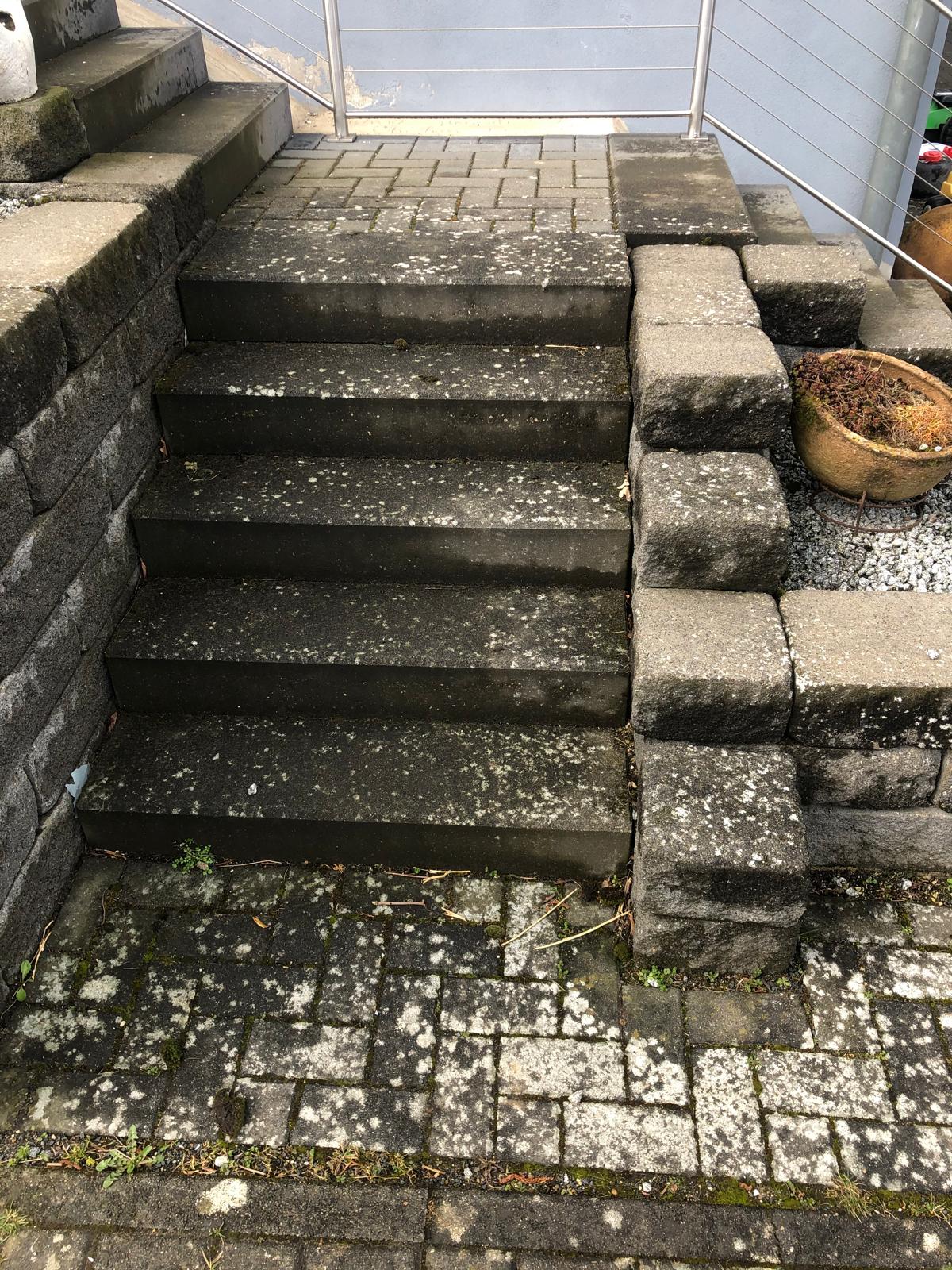 Treppe vor Reinigung — Flechten auf Betonstufen